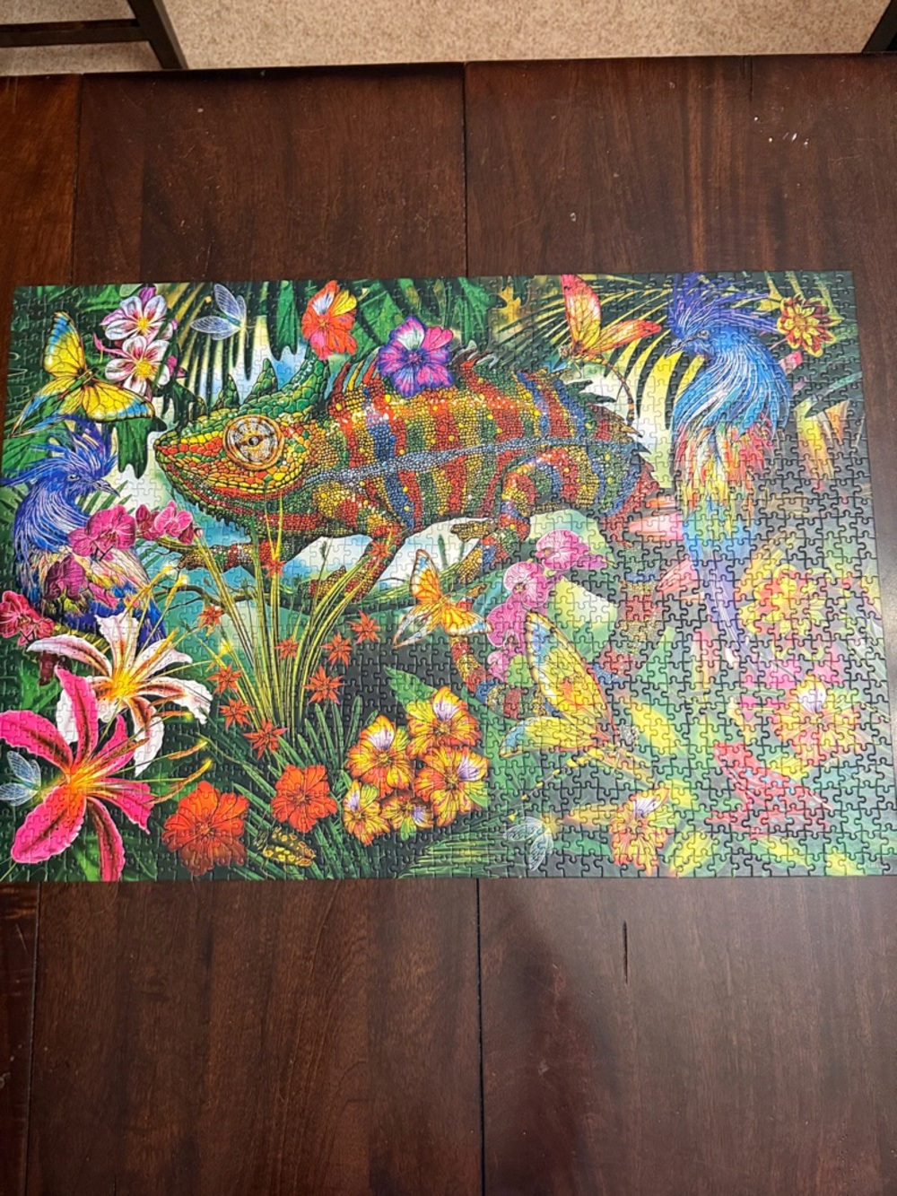 Castorland 1500-Piece Colorful Chameleon Puzzle.  Complete.  Excellent condition - Picture 7 of 8